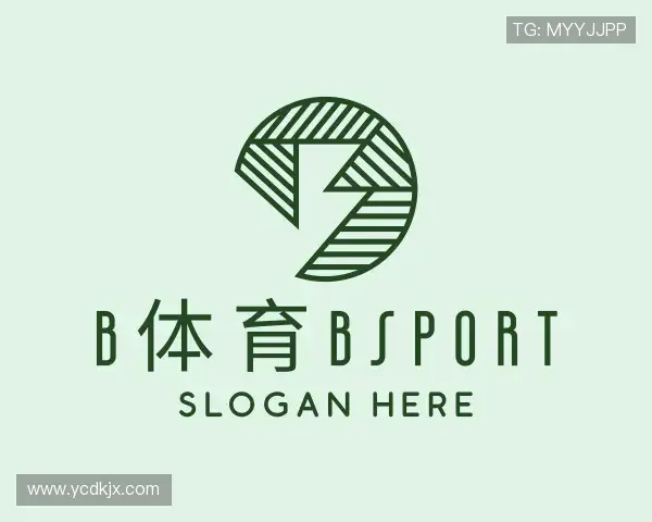 关于b体育bsport
